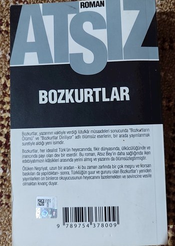Bozkurtlar - Atsız Romanı