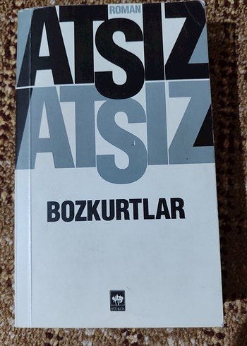 Bozkurtlar - Atsız Romanı