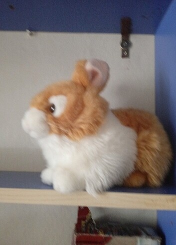 Neco toys animals of the world tavsan pelus f