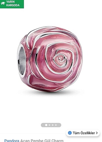 Beden pembe Renk PANDORA CHARM