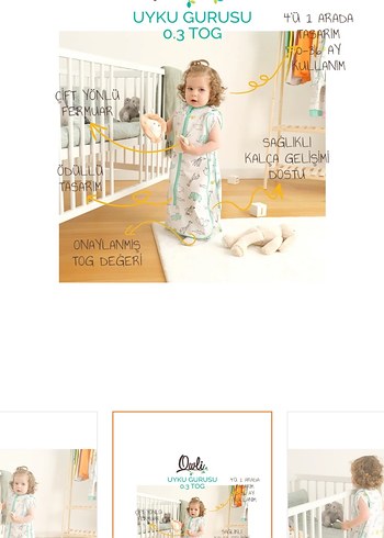 Diğer Owli uyku gurusu 0.3 tog 0-36 ay