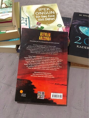  alevler arasında