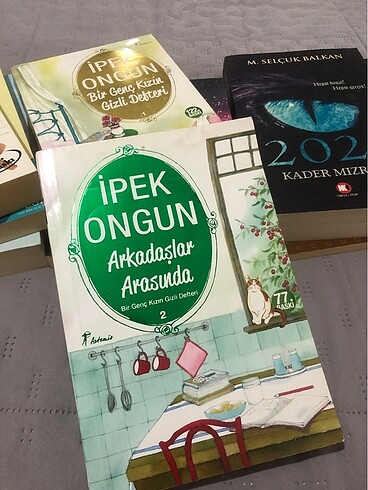 ipek ongun