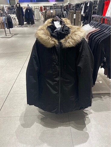 Zara mont