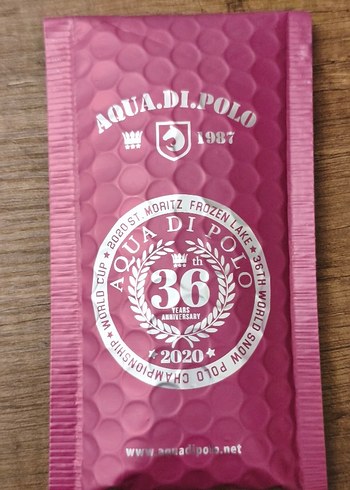 Aqua di Polo Siyah Kol Saati - Görsel 4