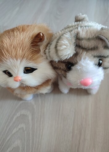 Kedi oyuncaklari