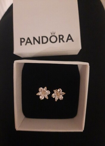 Pandora Küpe