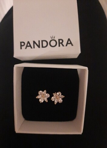 Pandora Pandora Küpe