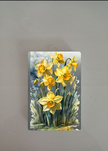 ÇİÇEK TEMALI DUVAR TABAKLARI - Görsel 6