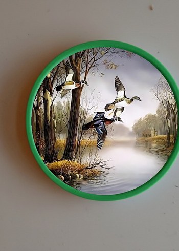 11 CM ÇAPINDA DUVAR TABAĞI SETİ - Görsel 3