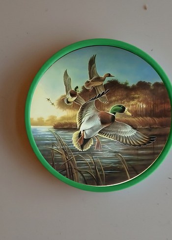 11 CM ÇAPINDA DUVAR TABAĞI SETİ - Görsel 2