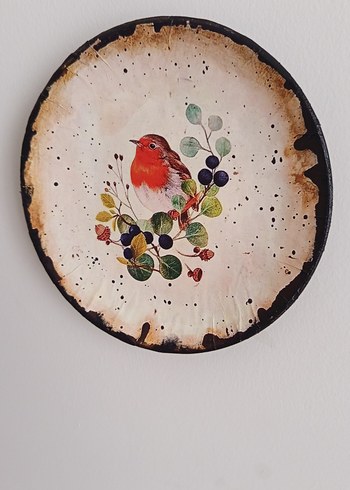 20 CM ÇAPINDA DUVAR TABAĞI - Görsel 4