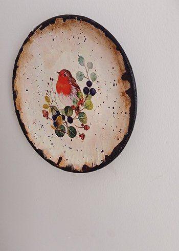 20 CM ÇAPINDA DUVAR TABAĞI - Görsel 5