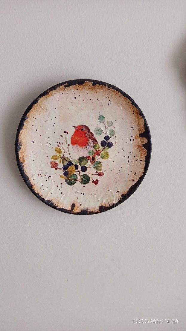 20 CM ÇAPINDA DUVAR TABAĞI - Görsel 3