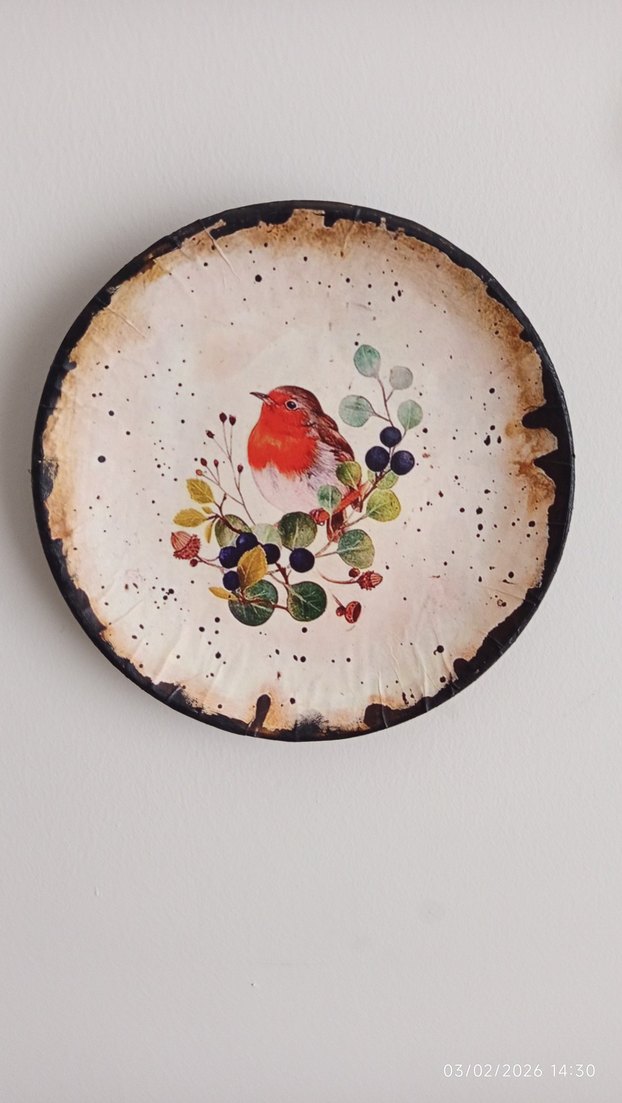 20 CM ÇAPINDA DUVAR TABAĞI - Görsel 2