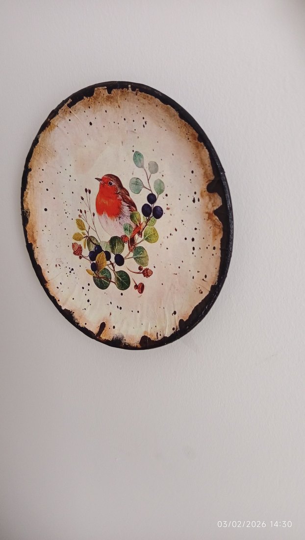 20 CM ÇAPINDA DUVAR TABAĞI - Görsel 5