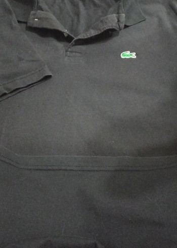 Erkek Siyah Polo Yaka Kısa Kollu Tişört - Görsel 4