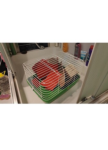 Hayvan taşıma besleme kabı terarium hamster gueina pig kedi köpe