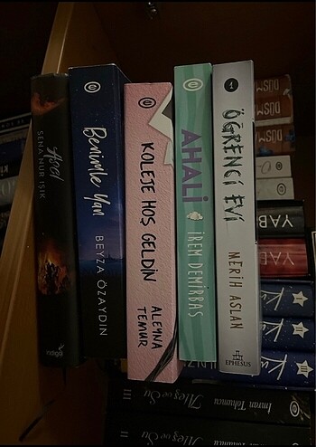 Kitap seti