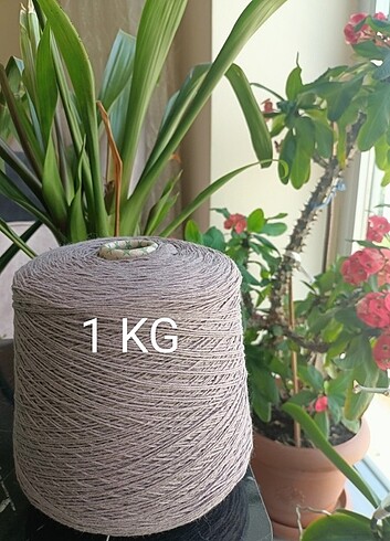Vizon Organik Koton Yün