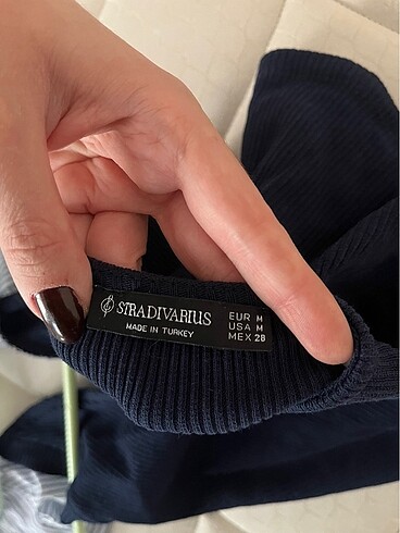 Stradivarius stradivarius crop