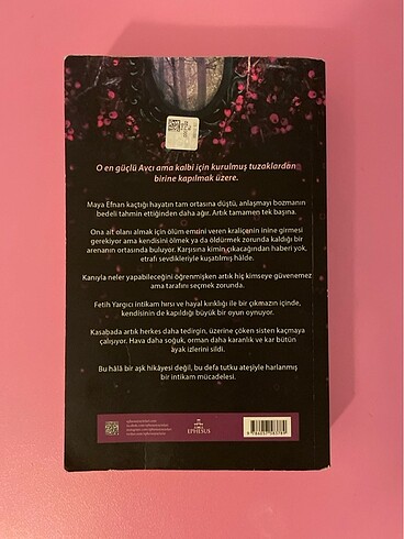  Gecenin hikayesi Aşeka