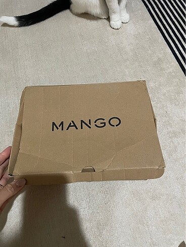 Mango Deri Bot