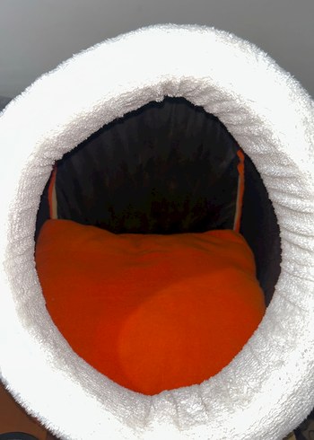 Renkli Turuncu Kedi Yatağı - Görsel 2