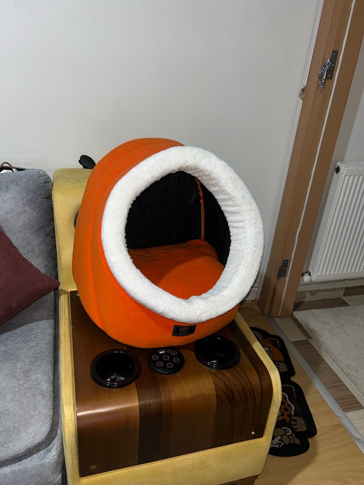 Renkli Turuncu Kedi Yatağı - Görsel 3