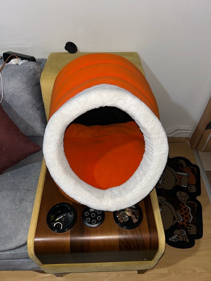 Renkli Turuncu Kedi Yatağı - Görsel 5