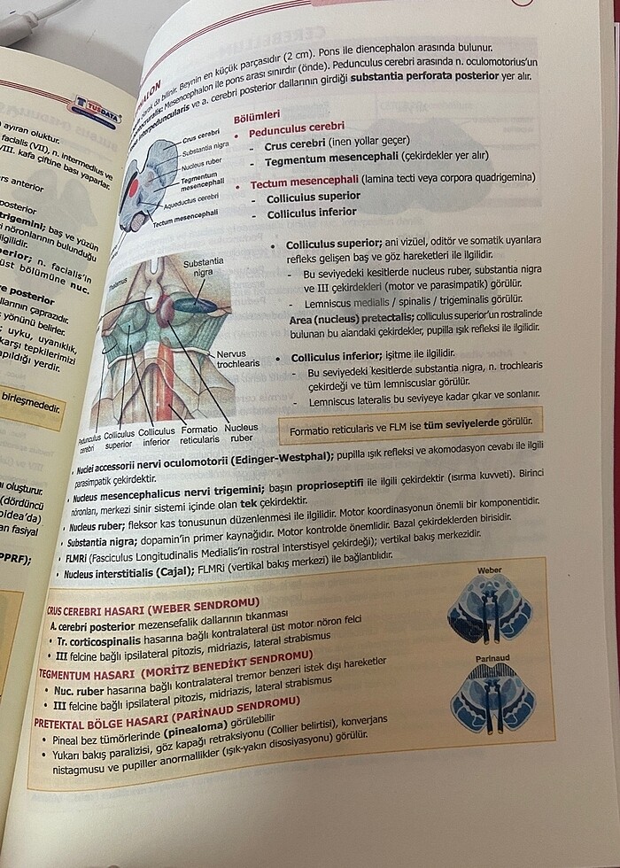 ANATOMİ KONU KİTABI - Görsel 4