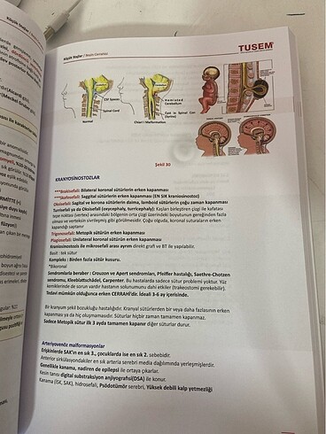 KÜÇÜK STAJLAR KONU KİTABI - Görsel 10