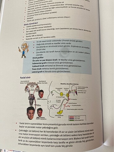 KÜÇÜK STAJLAR KONU KİTABI - Görsel 9
