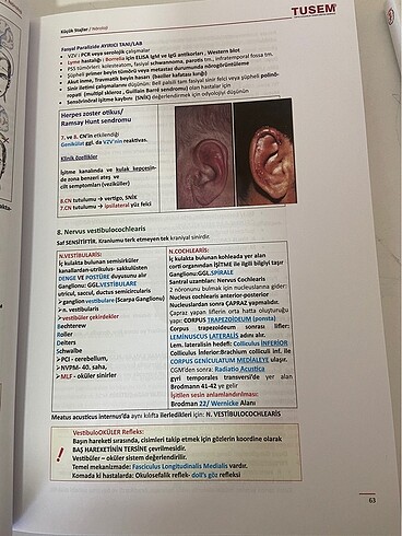 KÜÇÜK STAJLAR KONU KİTABI - Görsel 4