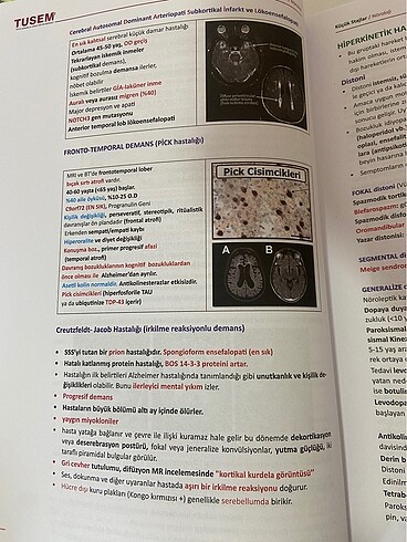 KÜÇÜK STAJLAR KONU KİTABI - Görsel 5