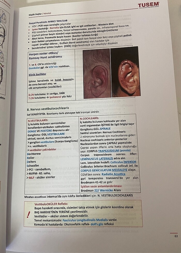 KÜÇÜK STAJLAR KONU KİTABI - Görsel 4