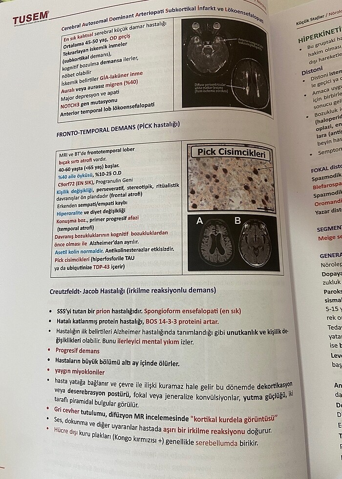 KÜÇÜK STAJLAR KONU KİTABI - Görsel 5