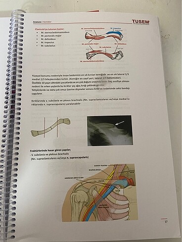 ANATOMİ KONU KİTABI - Görsel 2