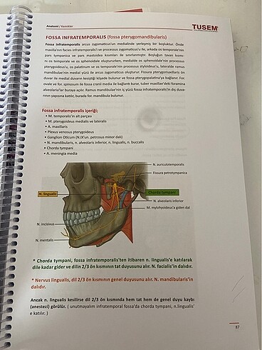 ANATOMİ KONU KİTABI - Görsel 3