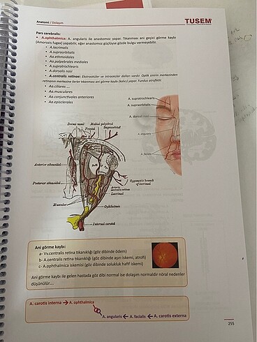ANATOMİ KONU KİTABI - Görsel 4