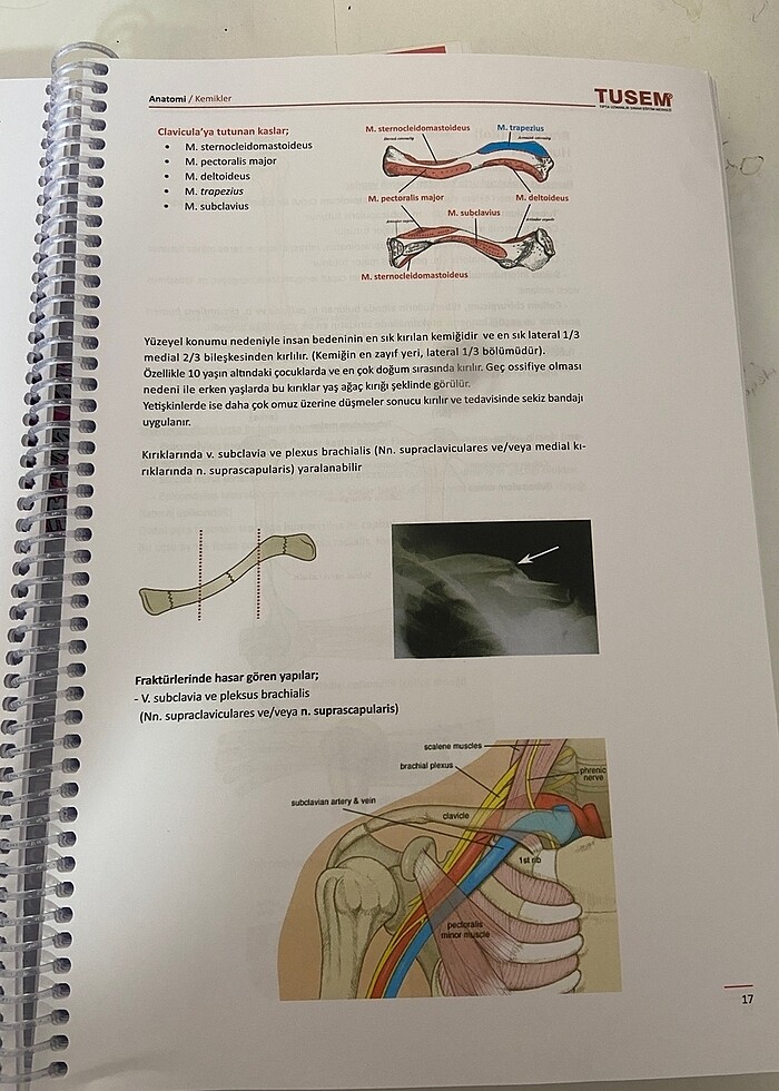ANATOMİ KONU KİTABI - Görsel 2