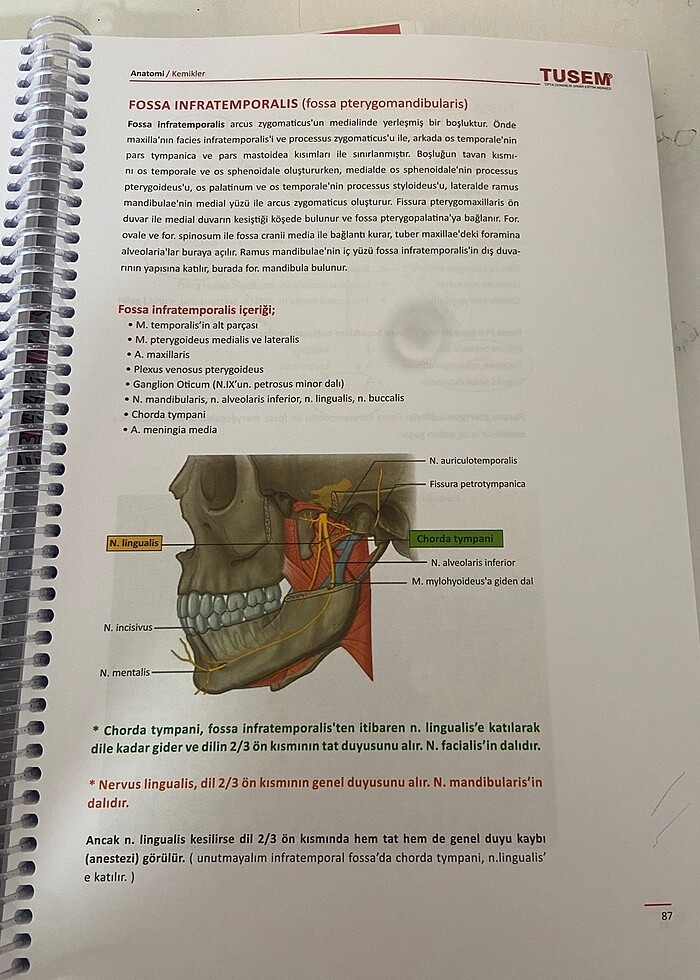 ANATOMİ KONU KİTABI - Görsel 3