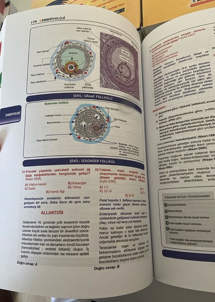 PROSPEKTUS FİZYOLOJİ - Görsel 2