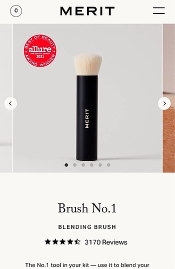 MERIT BRUSH