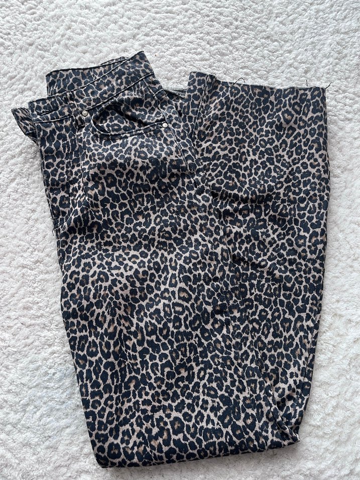 Jean Leopar - Görsel 2