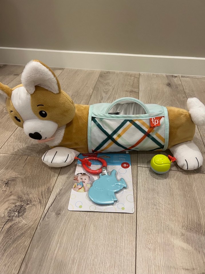 Fisher price 3 in 1 eğitici köpekçik - Görsel 2