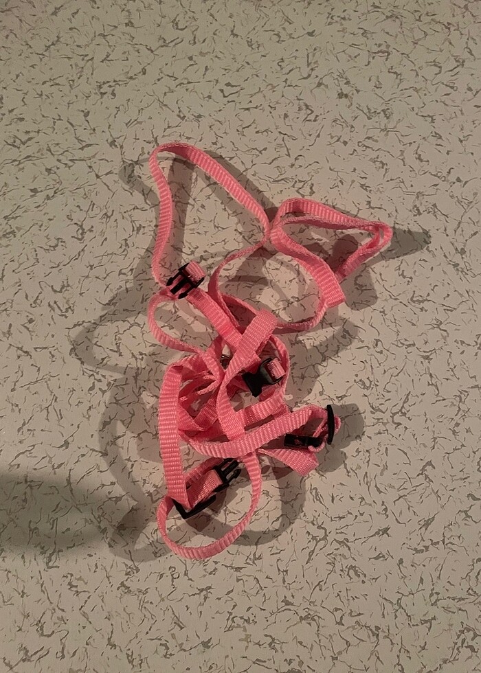 Kedi oyuncakları ve taşması - Görsel 2