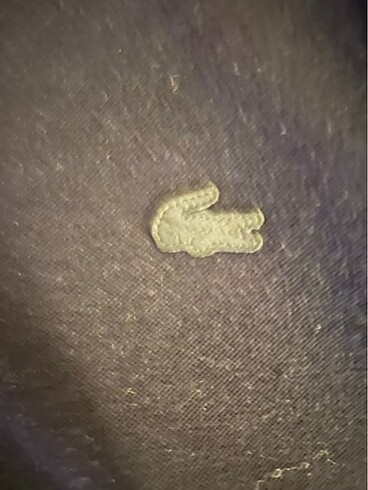 Lacoste LACOSTE erkek uzun kollu bluz