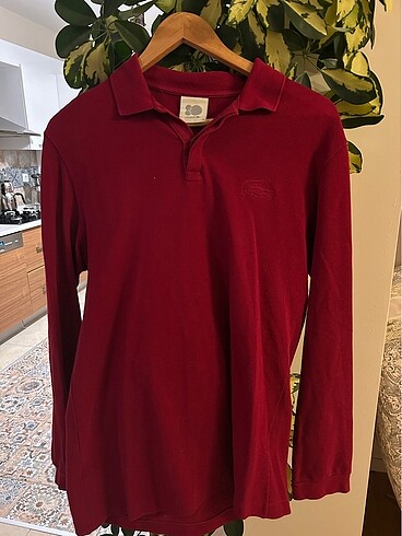 Orjinal LACOSTE erkek bluz