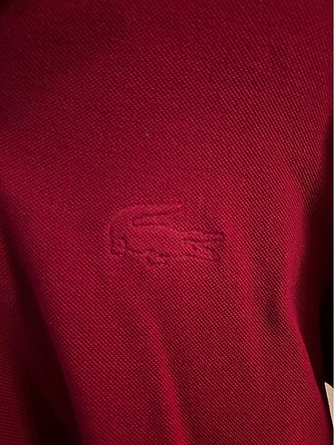 Lacoste Orjinal LACOSTE erkek bluz